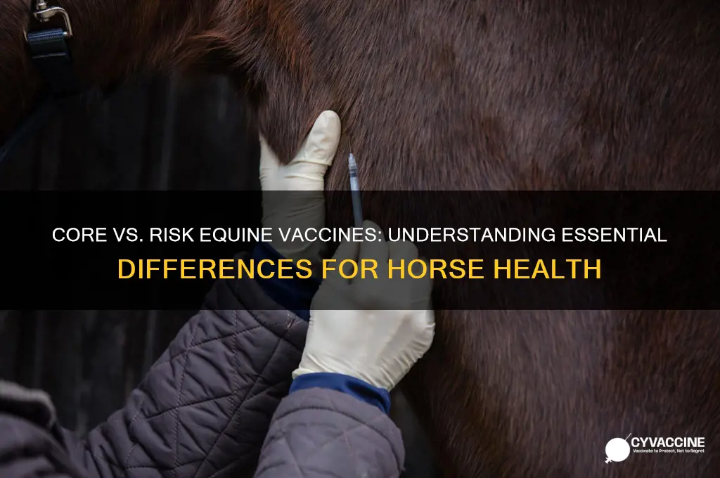 what is the difference between core and risk equine vaccines