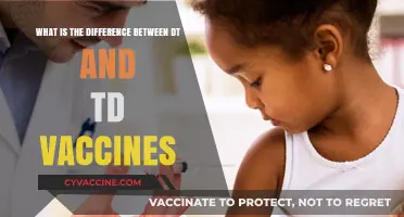 DT vs. TD Vaccines: Key Differences and Which One You Need