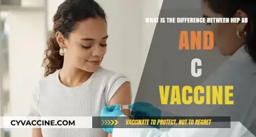 Hepatitis B vs. C Vaccines: Key Differences and Importance Explained
