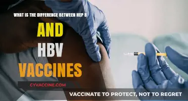 Hepatitis B vs. HBV Vaccines: Key Differences Explained