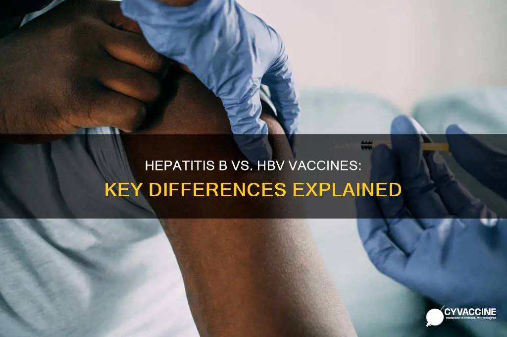 what is the difference between hep b and hbv vaccines