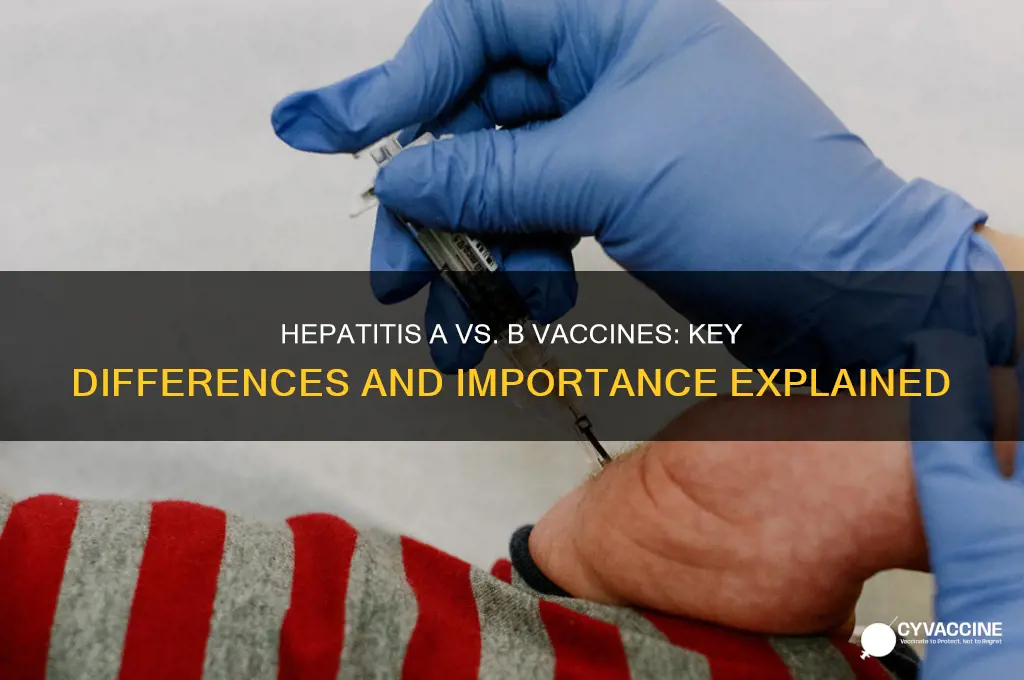 what is the difference between hepatitis a and b vaccine