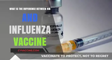 Hib vs. Influenza Vaccine: Key Differences and Importance Explained