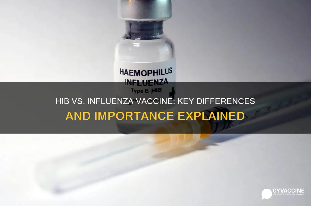 what is the difference between hib and influenza vaccine