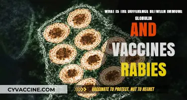 Immune Globulin vs. Rabies Vaccines: Key Differences Explained