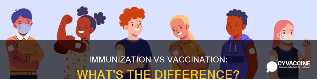 what is the difference between immunization and vaccination