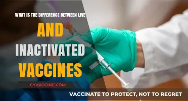 Live vs. Inactivated Vaccines: Key Differences and How They Work