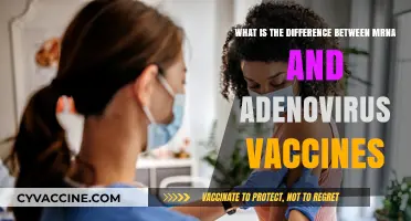mRNA vs. Adenovirus Vaccines: Key Differences and How They Work
