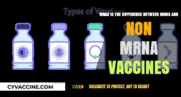 mRNA vs Non-mRNA Vaccines: Understanding the Core Difference