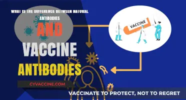 Natural vs. Vaccine Antibodies: Key Differences Explained