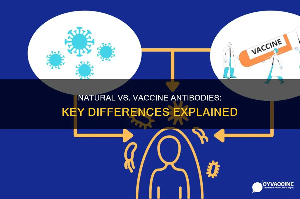 what is the difference between natural antibodies and vaccine antibodies