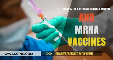 Novavax vs. mRNA Vaccines: Key Differences and Effectiveness Explained