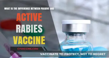 Active vs. Passive Rabies Vaccines: Key Differences and Uses Explained