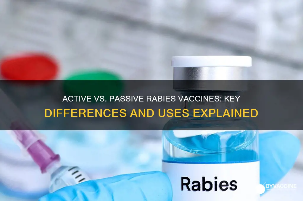 what is the difference between passive and active rabies vaccine