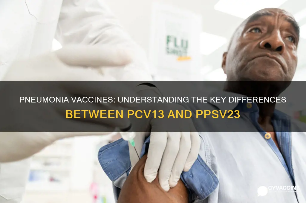 what is the difference between pneumonia vaccine 13 and 23