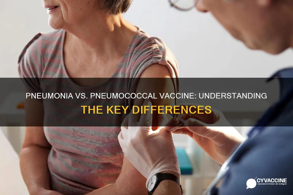 what is the difference between pneumonia vaccine and pneumococcal vaccine
