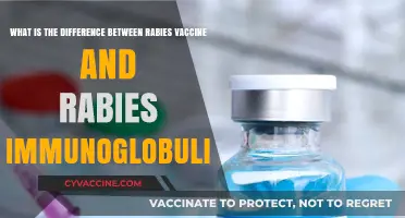 Rabies Vaccine vs. Immunoglobulin: Key Differences and Uses Explained