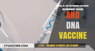 Recombinant vs. DNA Vaccines: Understanding Key Differences and Mechanisms