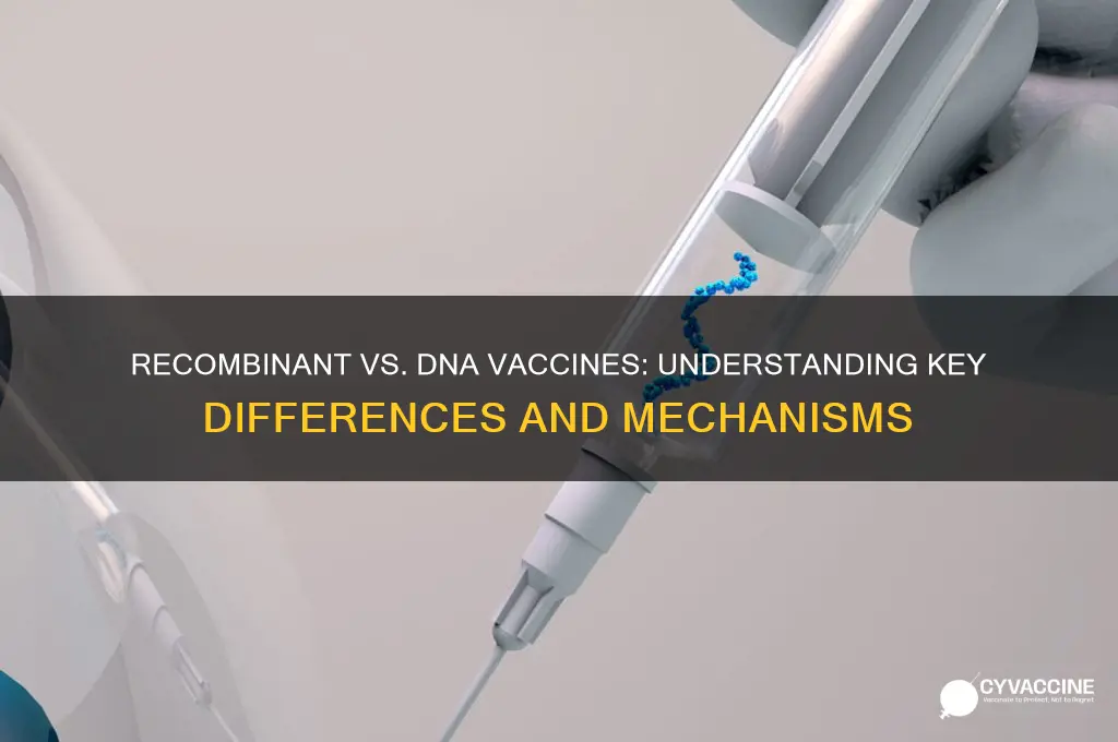 what is the difference between recombinant vaccine and dna vaccine