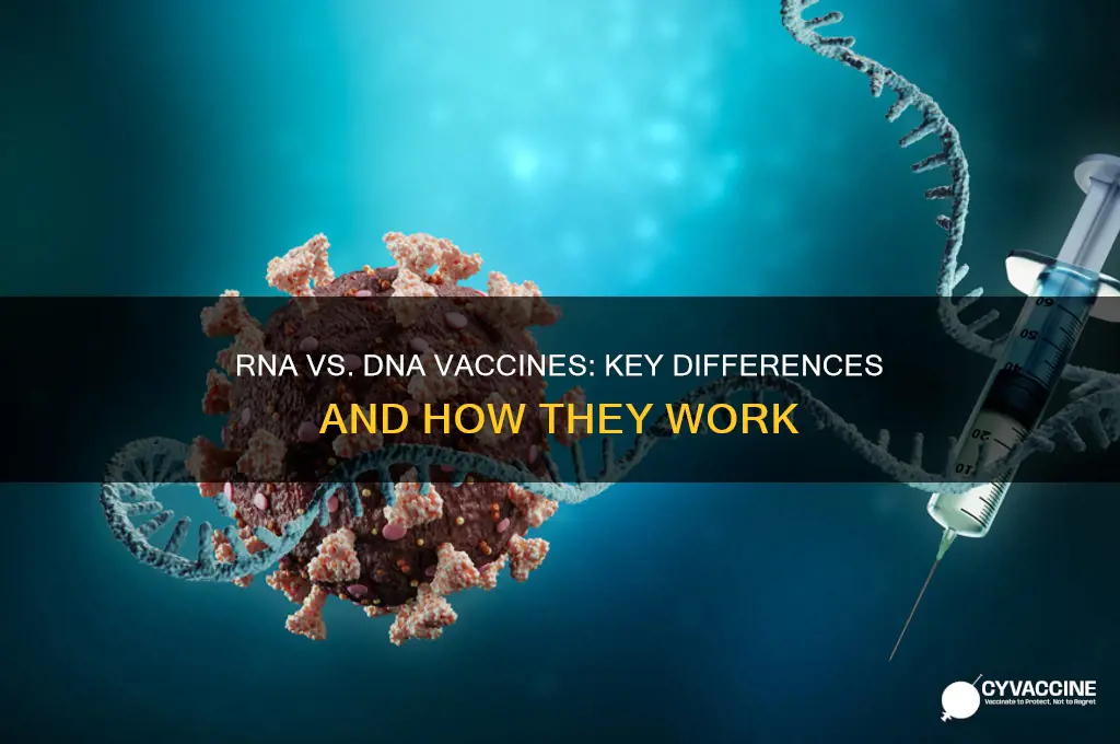 what is the difference between rna and dna vaccines