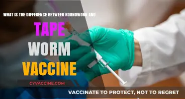 Roundworm vs. Tapeworm Vaccines: Key Differences and Uses Explained