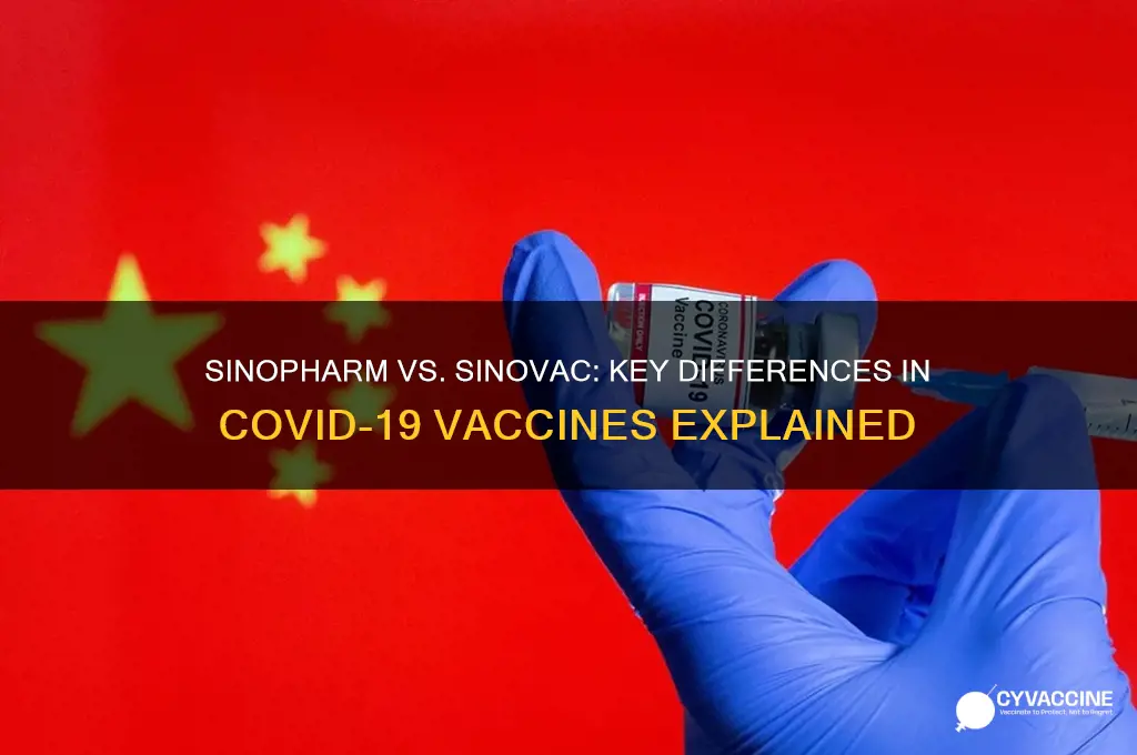 what is the difference between sinopharm and sinovac vaccine