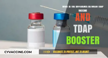 Tdap Vaccine vs. Booster: Key Differences Explained Simply