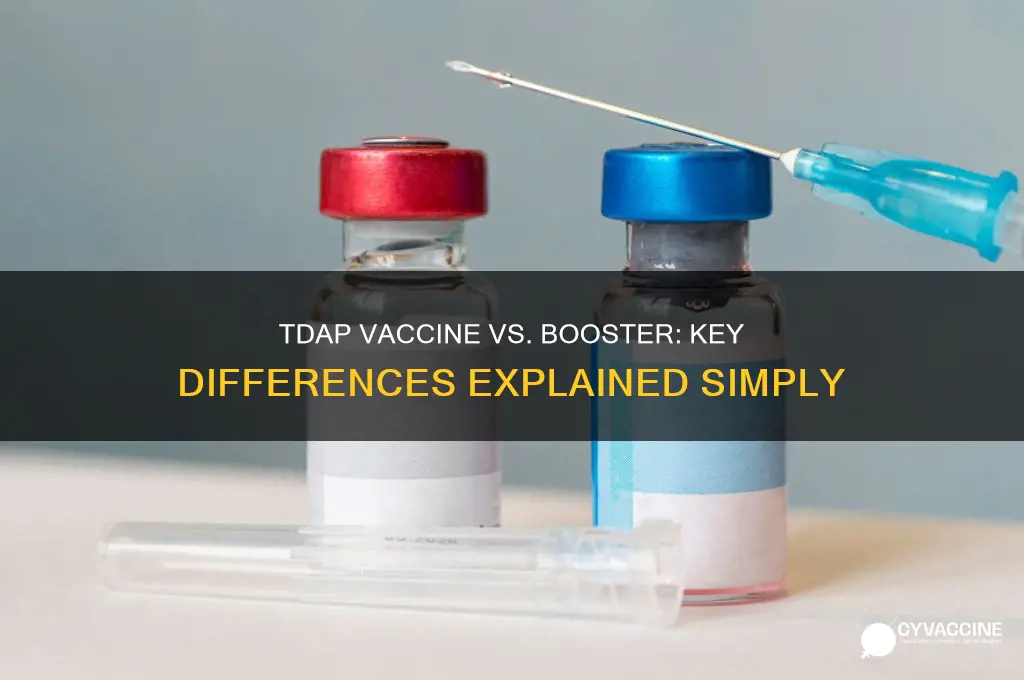 what is the difference between tdap vaccine and tdap booster