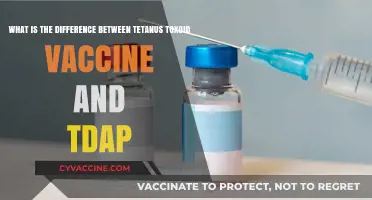 Tetanus Toxoid vs. Tdap: Understanding Key Vaccine Differences