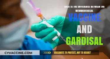 Meningococcal vs. Gardasil: Understanding Key Vaccine Differences and Uses