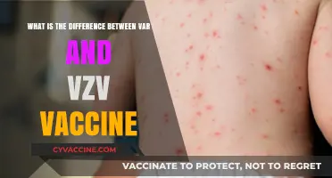 Var vs. VZV Vaccine: Key Differences and Uses Explained