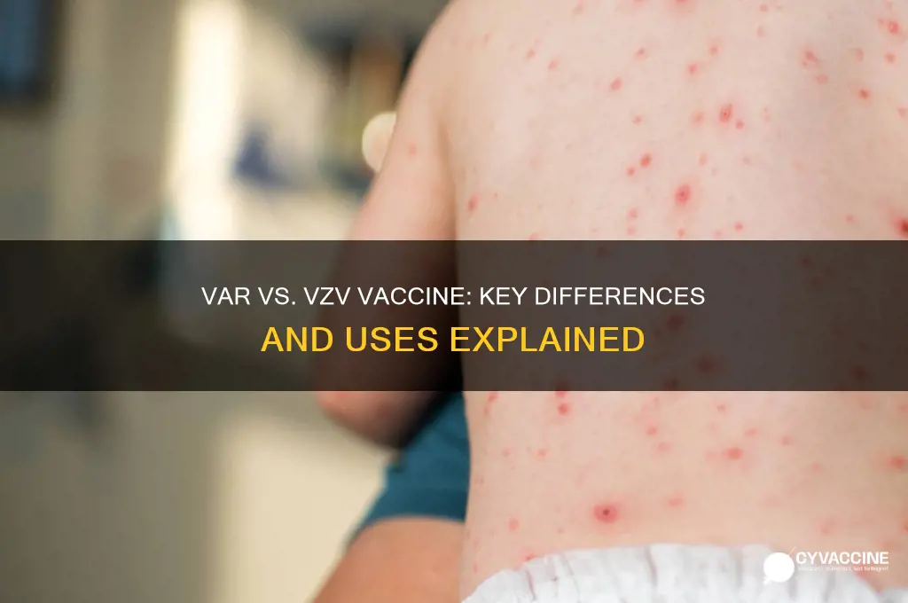 what is the difference between var and vzv vaccine