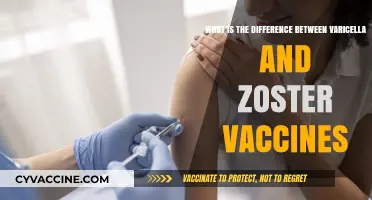 Varicella vs. Zoster Vaccines: Understanding Key Differences and Uses