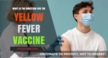 Navigating Yellow Fever Vaccine: Essential Guidance for Travelers and Prevention