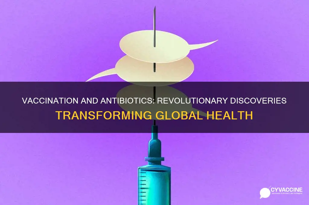 what is the discoveries of vaccination and antibiotics