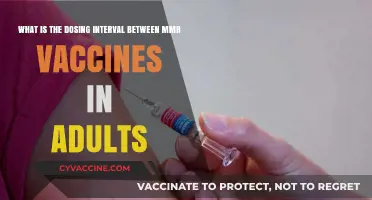 MMR Vaccine Dosing Interval for Adults: Timing and Recommendations