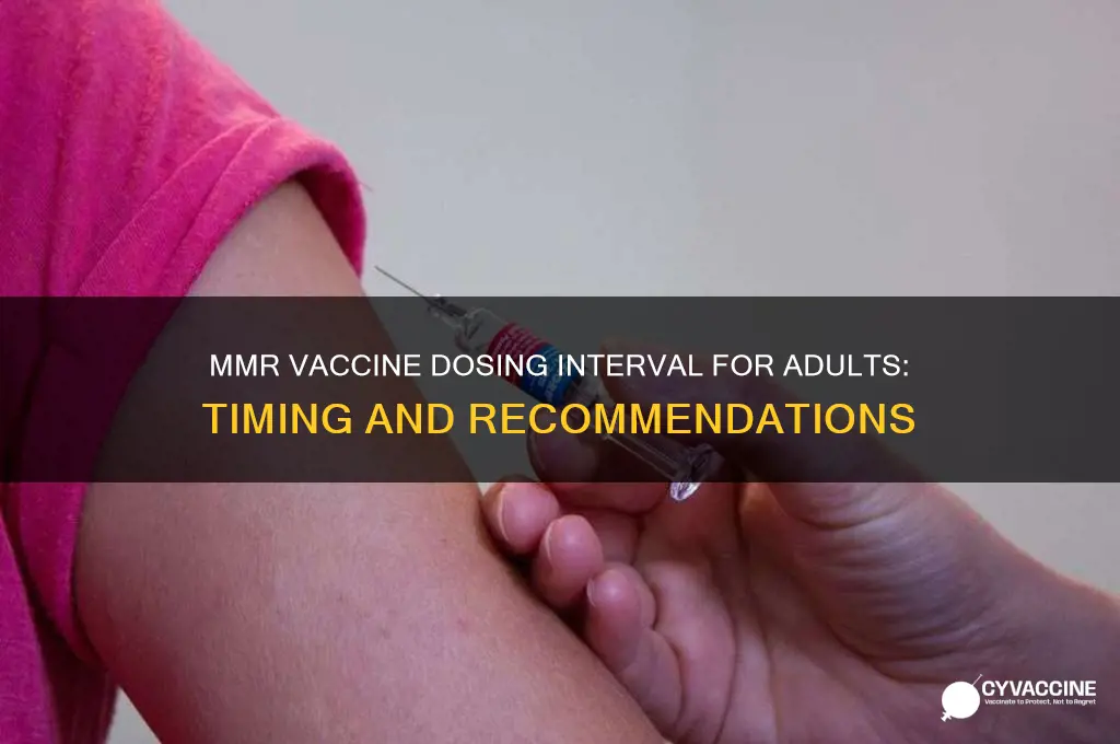 what is the dosing interval between mmr vaccines in adults