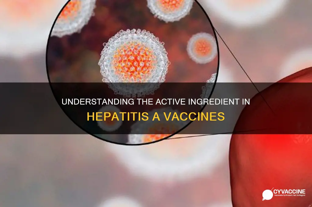 what is the drug in hep a vaccine called
