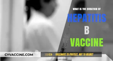 Hepatitis B Vaccine Duration: Understanding the Protection Timeline