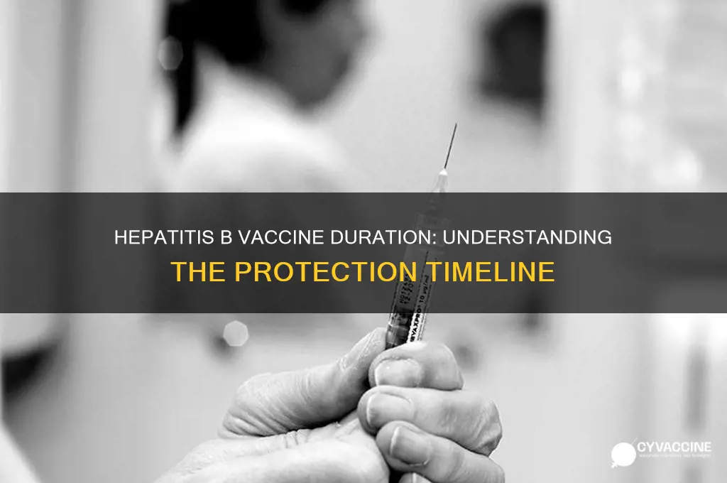 what is the duration of hepatitis b vaccine
