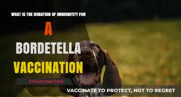 How Long Does Bordetella Vaccination Immunity Last in Pets?