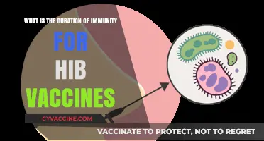 Understanding Hib Vaccine Immunity Duration: How Long Are You Protected?