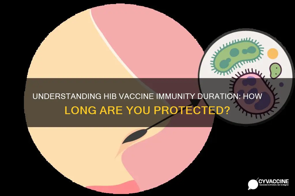 what is the duration of immunity for hib vaccines
