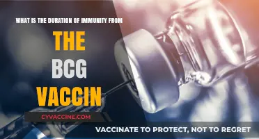 How Long Does BCG Vaccine Immunity Last? Key Insights