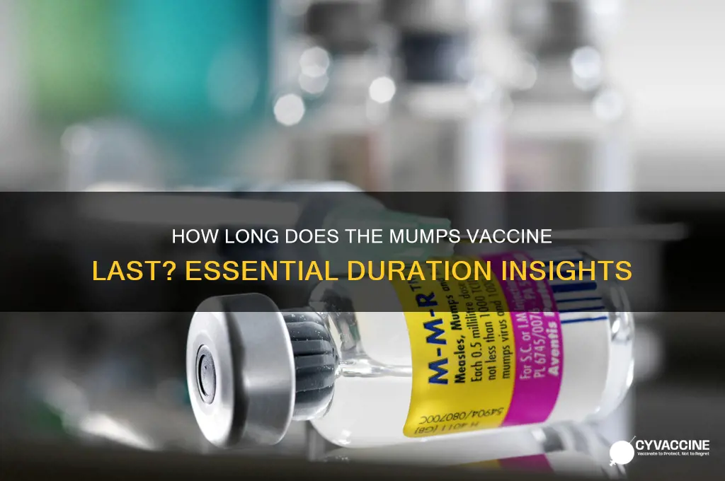what is the duration of the mumps vaccine
