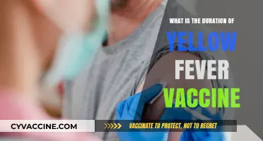 Yellow Fever Vaccine Duration: How Long Does Protection Last?