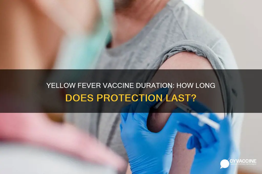 what is the duration of yellow fever vaccine