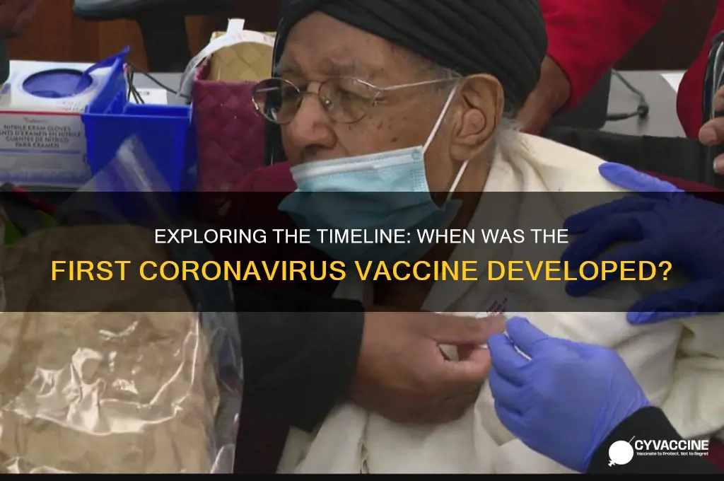 what is the earliest a vaccine for coronavirus