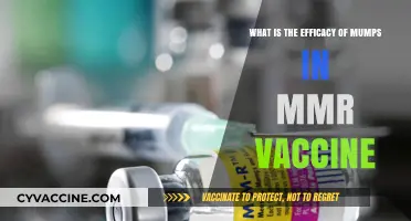 Mumps Efficacy in MMR Vaccine: Safety, Effectiveness, and Protection