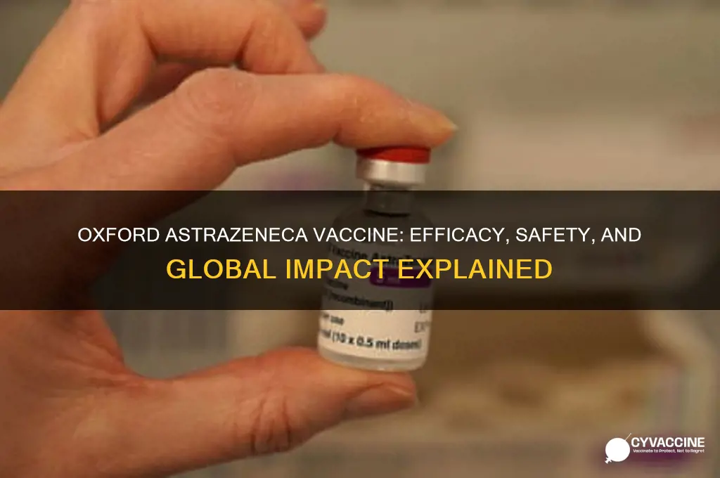 what is the efficacy of oxford astrazeneca vaccine